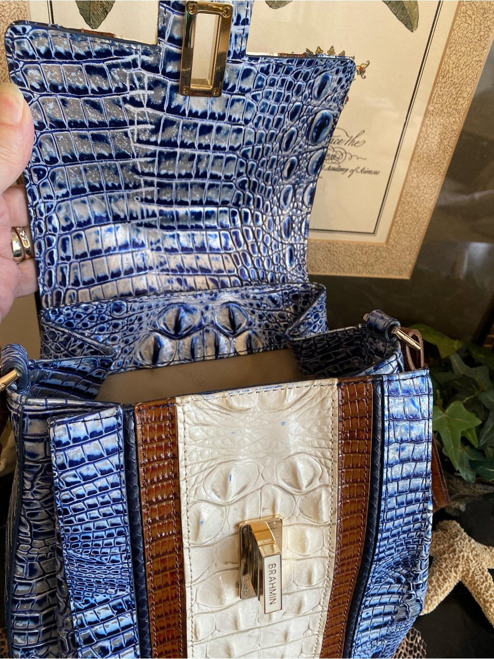 ๐๐Coastal Blue Odysea BRAHMIN MARGO Crossbody - Picture 6 of 16